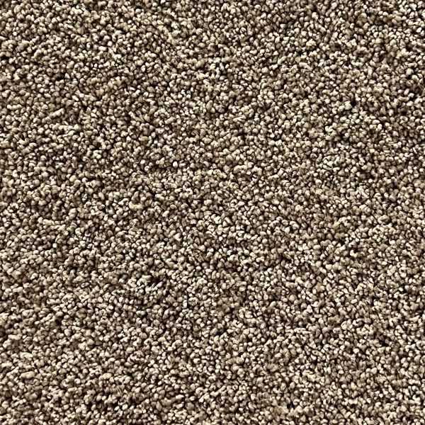https://www.firstfloordo.co.nz/product-category/carpet/beauty-series/page/2/