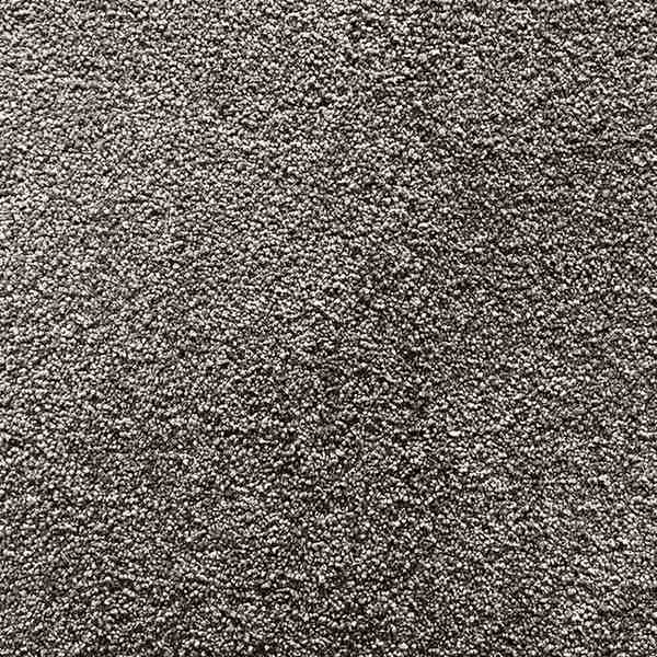 Elegant Beauty Series 5003 Carpet for Auckland Interiors by First Floordo