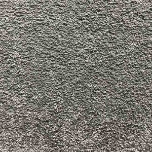 Premium Beauty Series 5008 Carpet for Auckland Homes by First Floordo