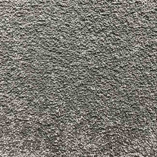 Premium Beauty Series 5008 Carpet for Auckland Homes by First Floordo