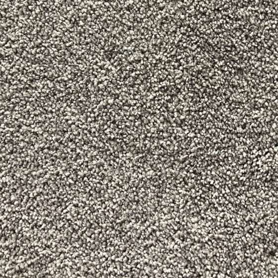 Luxury Beauty Series 5052 Carpet for Auckland Homes by First Floordo