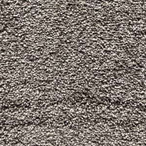 Premium Beauty Series 5053 Carpet For Auckland Interiors by First Floordo
