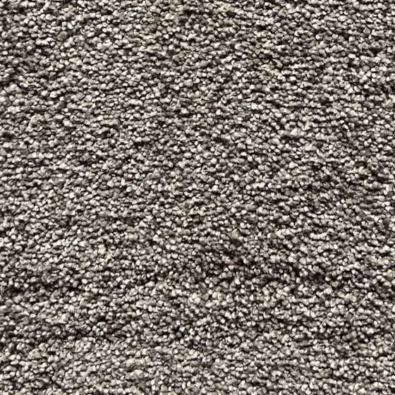 Premium Beauty Series 5053 Carpet For Auckland Interiors by First Floordo