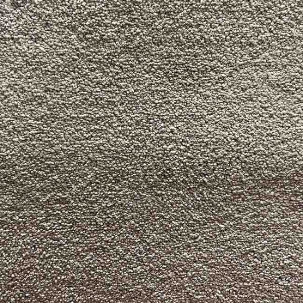 Stylish Beauty Series 7042 Carpet for Auckland Homes by First Floordo