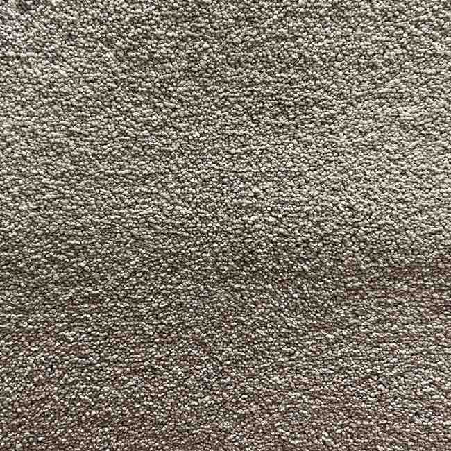 Stylish Beauty Series 7042 Carpet for Auckland Homes by First Floordo