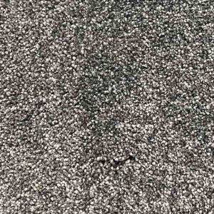 Sao Paulo 4049 Carpet with Modern Styling and Durable Construction in Auckland by First Floordo