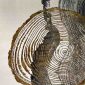 SG P34 Designer Rug Elevating Modern Auckland Home Interiors by First Floordo