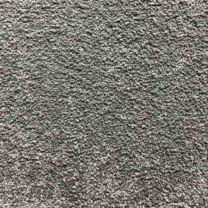 Beauty Series 5008 Premium Carpet by First Floordo in Auckland